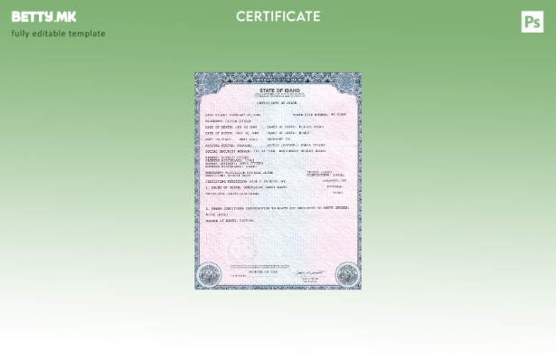 Модерен стил шаблон за уверение за смрт од државата Ајдахо во САД во шаблон PSD 